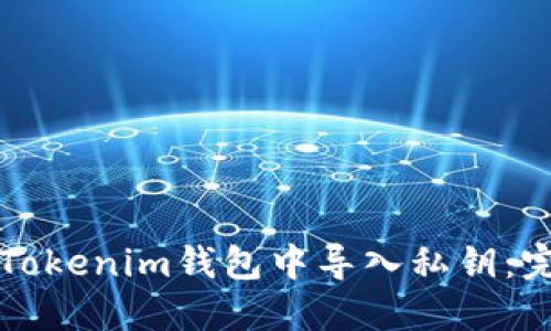 如何在Tokenim钱包中导入私钥：完整指南