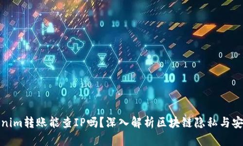Tokenim转账能查IP吗？深入解析区块链隐私与安全性
