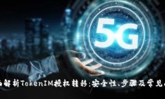 全面解析TokenIM授权转移：