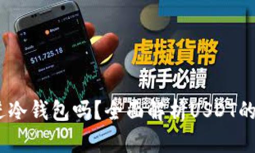 USDT可以放进冷钱包吗？全面解析USDT的安全存储方式