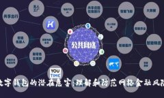数字钱包的潜在危害：理