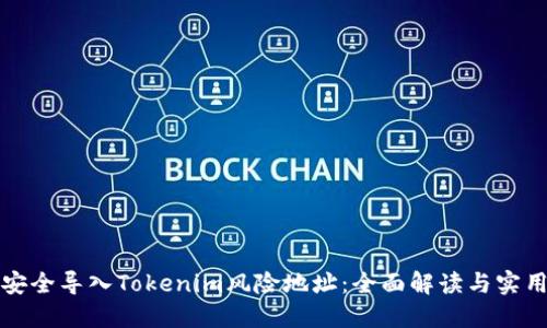 如何安全导入Tokenim风险地址：全面解读与实用指南