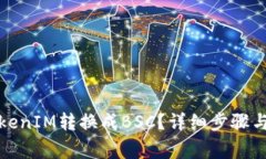 如何将TokenIM转换成BSC？详细步骤与注意事项