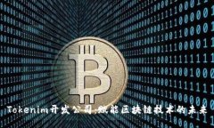 Tokenim开发公司：赋能区块链技术的未来