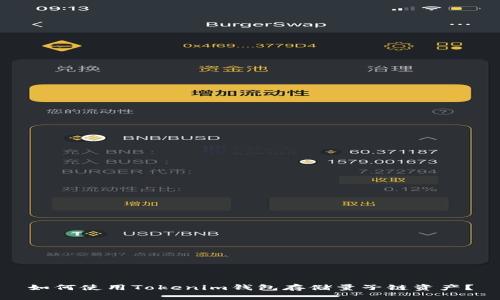 如何使用Tokenim钱包存储量子链资产？