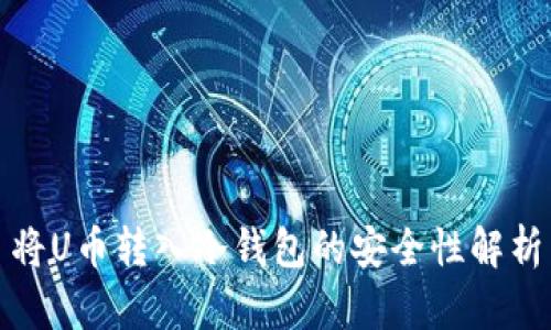 将U币转入冷钱包的安全性解析