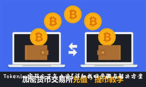 Tokenim密码忘了怎么办？详细找回步骤与解决方案
