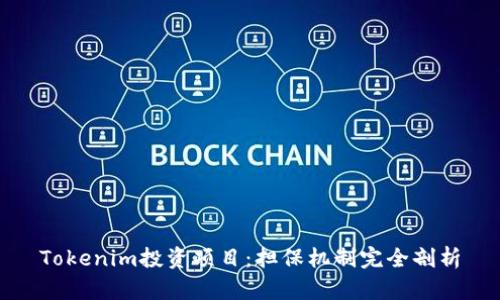 Tokenim投资项目：担保机制完全剖析