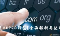 什么是BEP20钱包？全面解析与使用指南