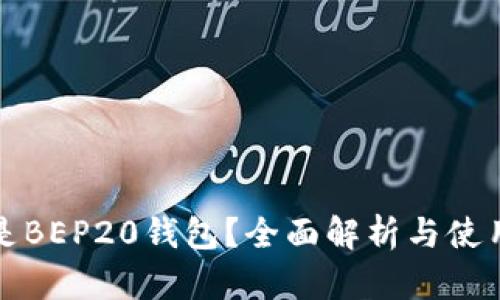 什么是BEP20钱包？全面解析与使用指南