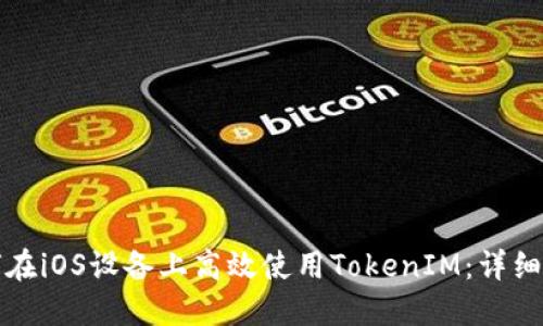 如何在iOS设备上高效使用TokenIM：详细指南