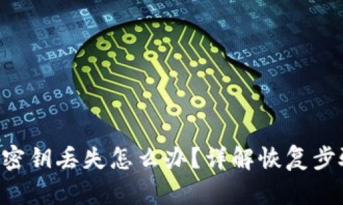 Tokenim钱包密钥丢失怎么办？详解恢复步骤与预防措施