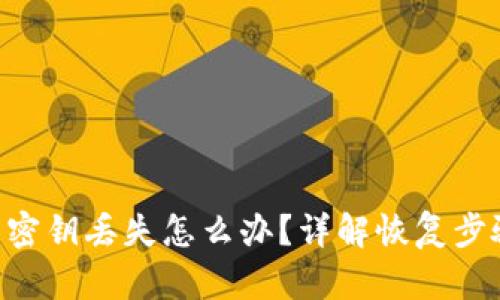 Tokenim钱包密钥丢失怎么办？详解恢复步骤与预防措施