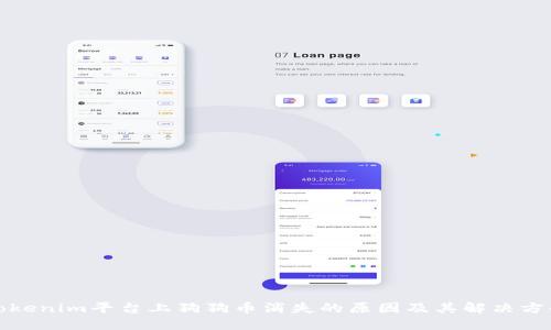 Tokenim平台上狗狗币消失的原因及其解决方案