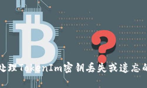 如何处理TokenIm密钥丢失或遗忘的情况