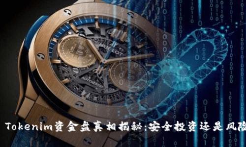 ### Tokenim资金盘真相揭秘：安全投资还是风险骗局？