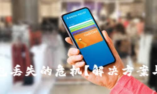 如何应对硬件钱包丢失的危机？解决方案与预防措施全解析