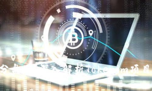 Tokenim是拆分盘吗？深入解析Tokenim项目及其潜在风险