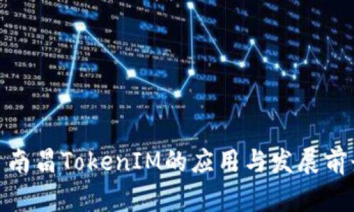 : 南昌TokenIM的应用与发展前景