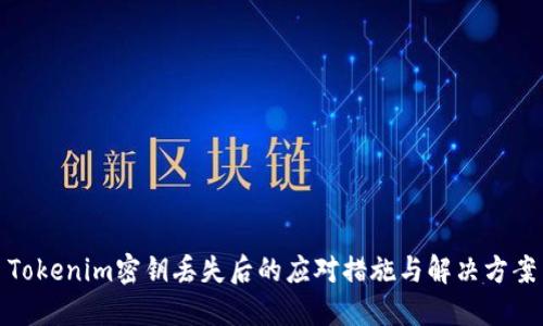 Tokenim密钥丢失后的应对措施与解决方案