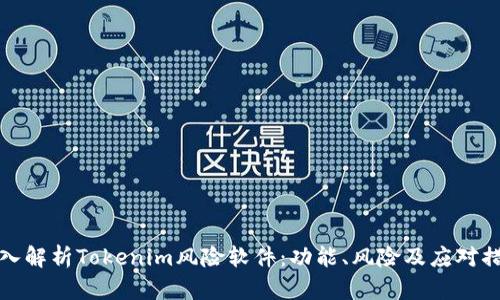 深入解析Tokenim风险软件：功能、风险及应对措施