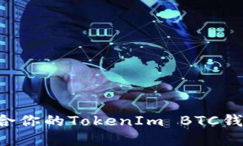 如何选择适合你的TokenIm BTC钱包：全面指南