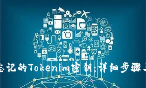 如何找回忘记的Tokenim密钥：详细步骤与解决方案