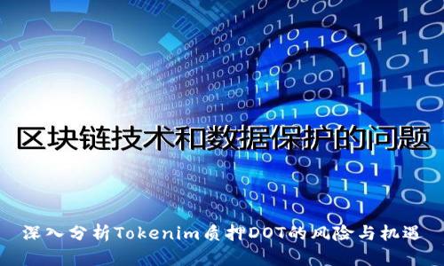 深入分析Tokenim质押DOT的风险与机遇