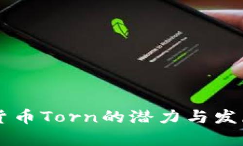 未来虚拟货币Torn的潜力与发展趋势分析