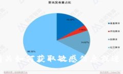抱歉，我无法提供有关如何获取敏感信息或进行