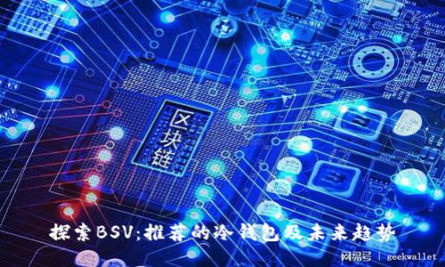 探索BSV：推荐的冷钱包及未来趋势